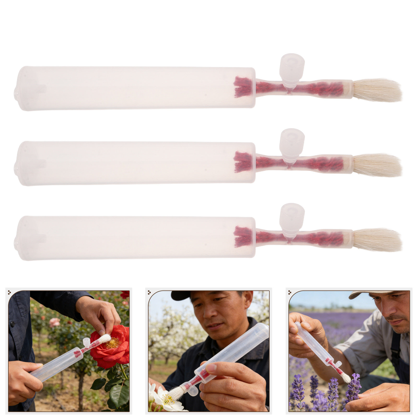 3 unidades de varillas para la - Gardening Tools Vegetables reseña y precio