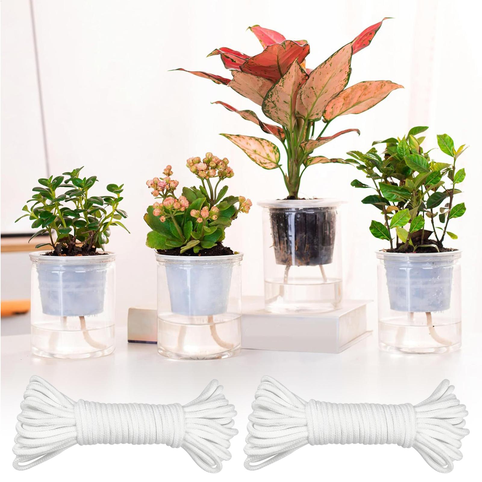 Cuerdas de riego automático pa - Automatic Plant Waterer reseña y precio
