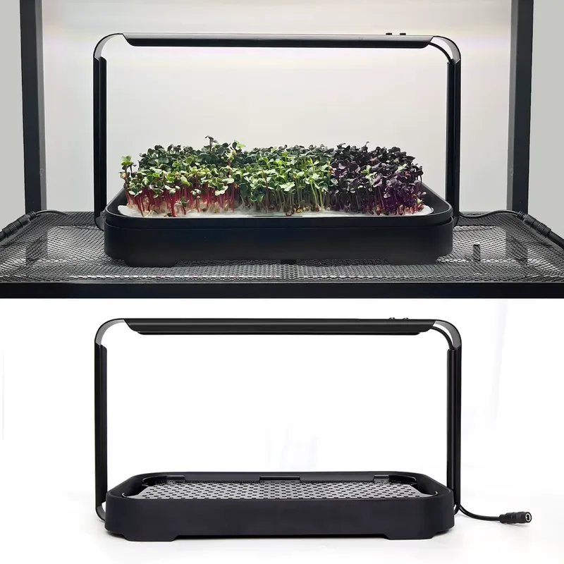 Sistema de Cultivo Hidropónico - Self-Watering Planter reseña y precio