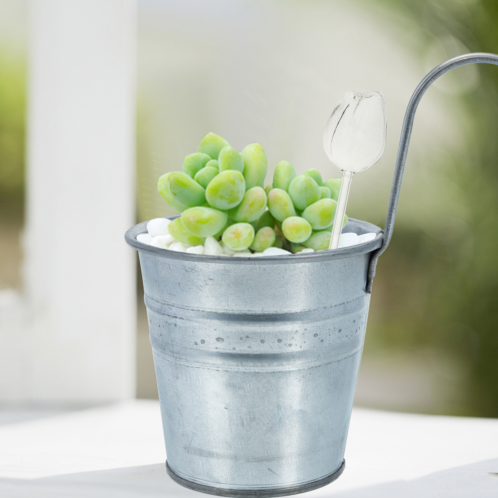 2 unidades de globos de riego  - Self-Watering Planter reseña y precio